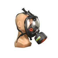 DELTA PLUS FULL FACE MASK WITH CARTRIDGE-2