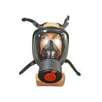 DELTA PLUS FULL FACE MASK WITH CARTRIDGE